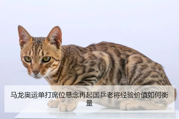 ma-long-ao-yun-dan-da-xi-wei-xuan-nian-zai-qi-guo-ping-lao-jiang-jing-yan-jia-zhi-ru-he-heng-liang-2-756.jpg