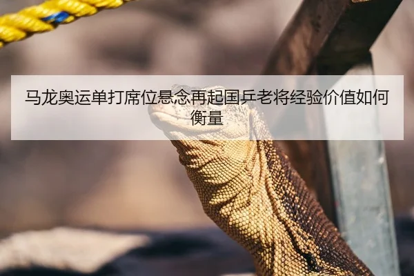 马龙奥运单打席位悬念再起国乒老将经验价值如何衡量