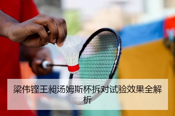 梁伟铿王昶汤姆斯杯拆对试验效果全解析