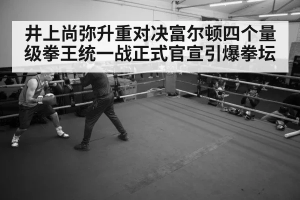 boxer training gym